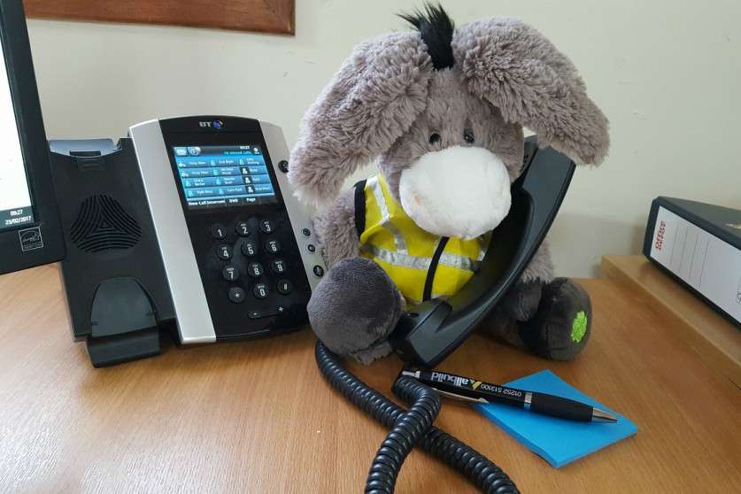 Nts Kevin Donkey On Phone